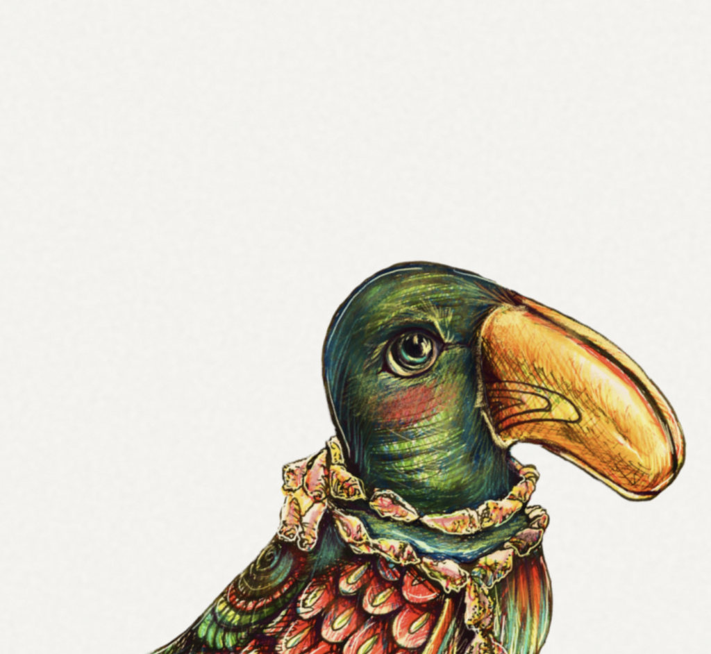Toucan Inked Illustration | Matte Textured Art Print