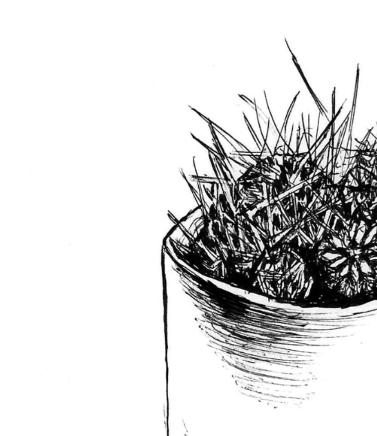 Cacti Watercolor Print — Textured Matte Poster