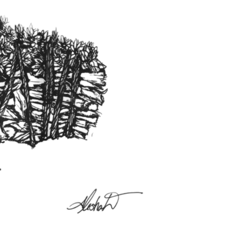 Botanical Sage Print Poster — Textured Watercolor Matte Art