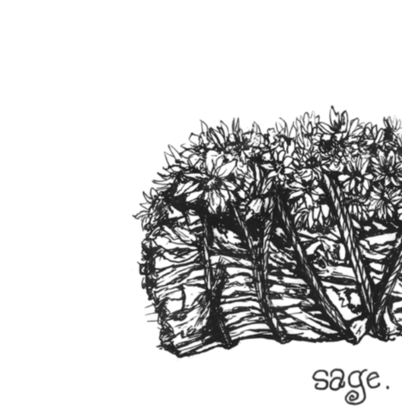 Botanical Sage Print Poster — Textured Watercolor Matte Art