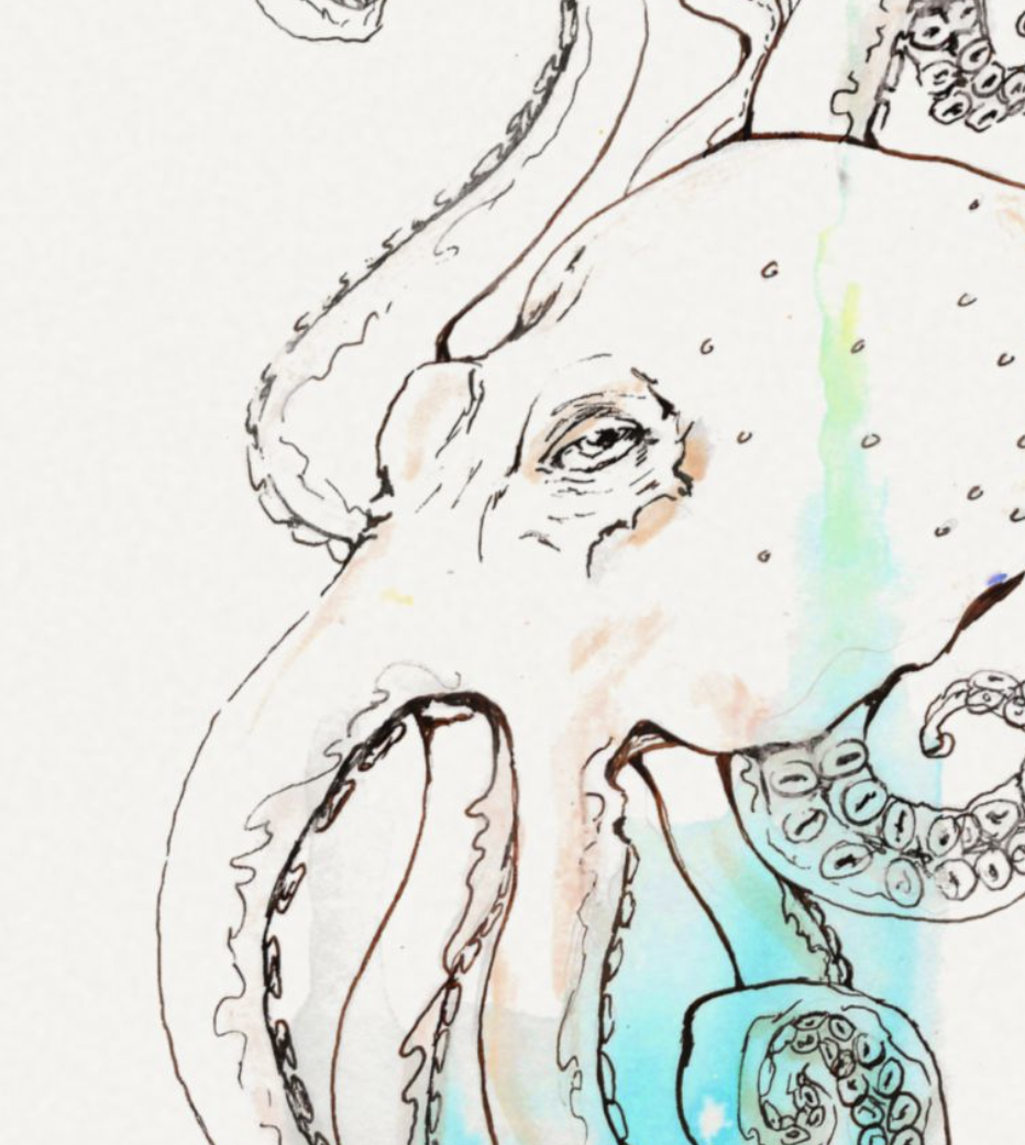 Octopus Watercolor & Ink  — Textured Matte Marine Wall Art Print
