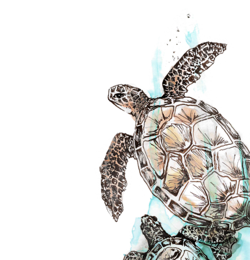 Sea Turtle Watercolor Poster — Textured Matte Ocean Art Print