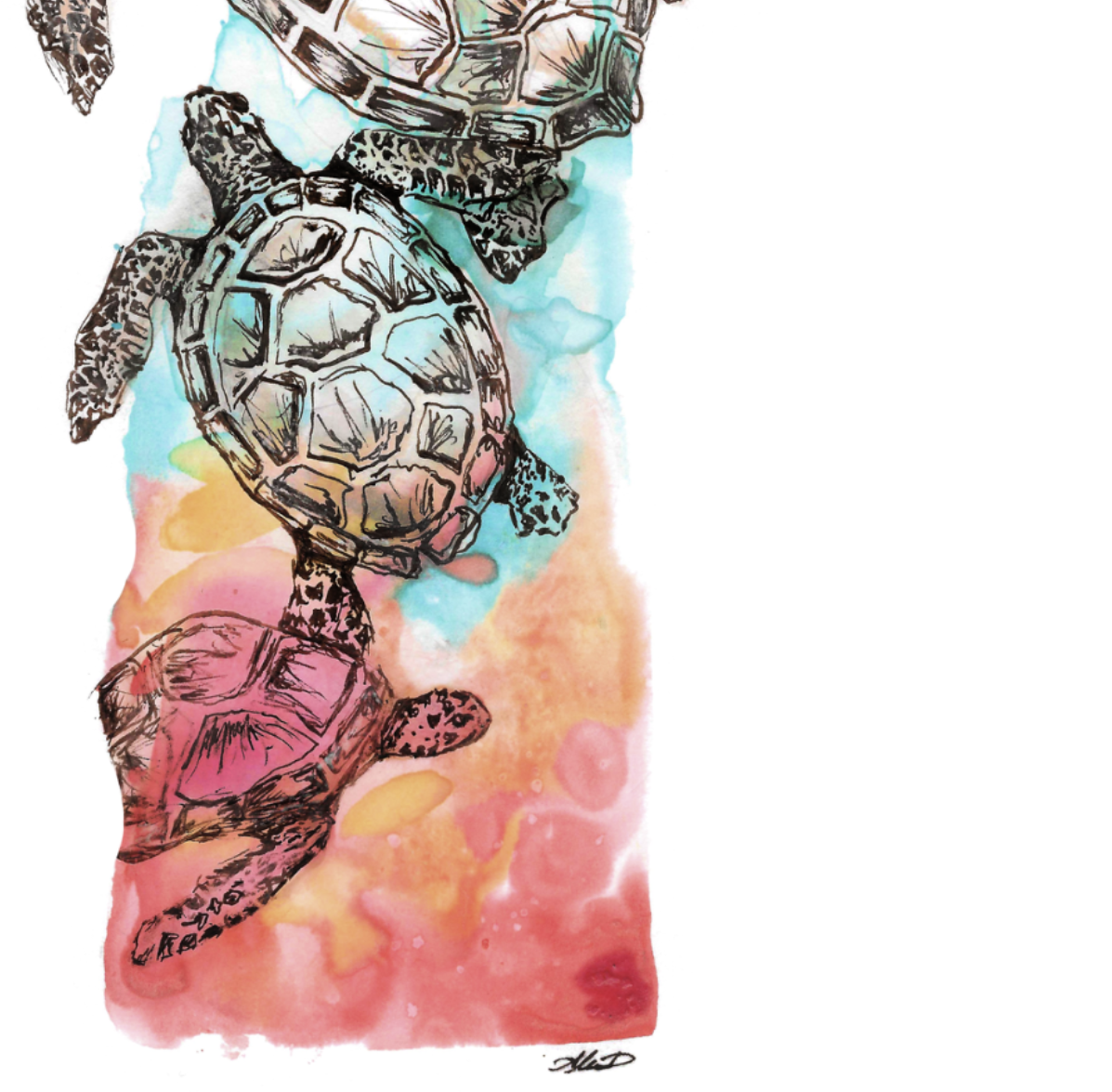 Sea Turtle Watercolor Poster — Textured Matte Ocean Art Print