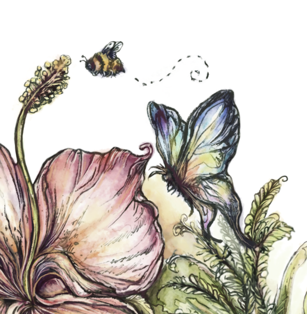 Hibiscus Butterfly Bee Watercolor Poster textured matte print | botanical wall art
